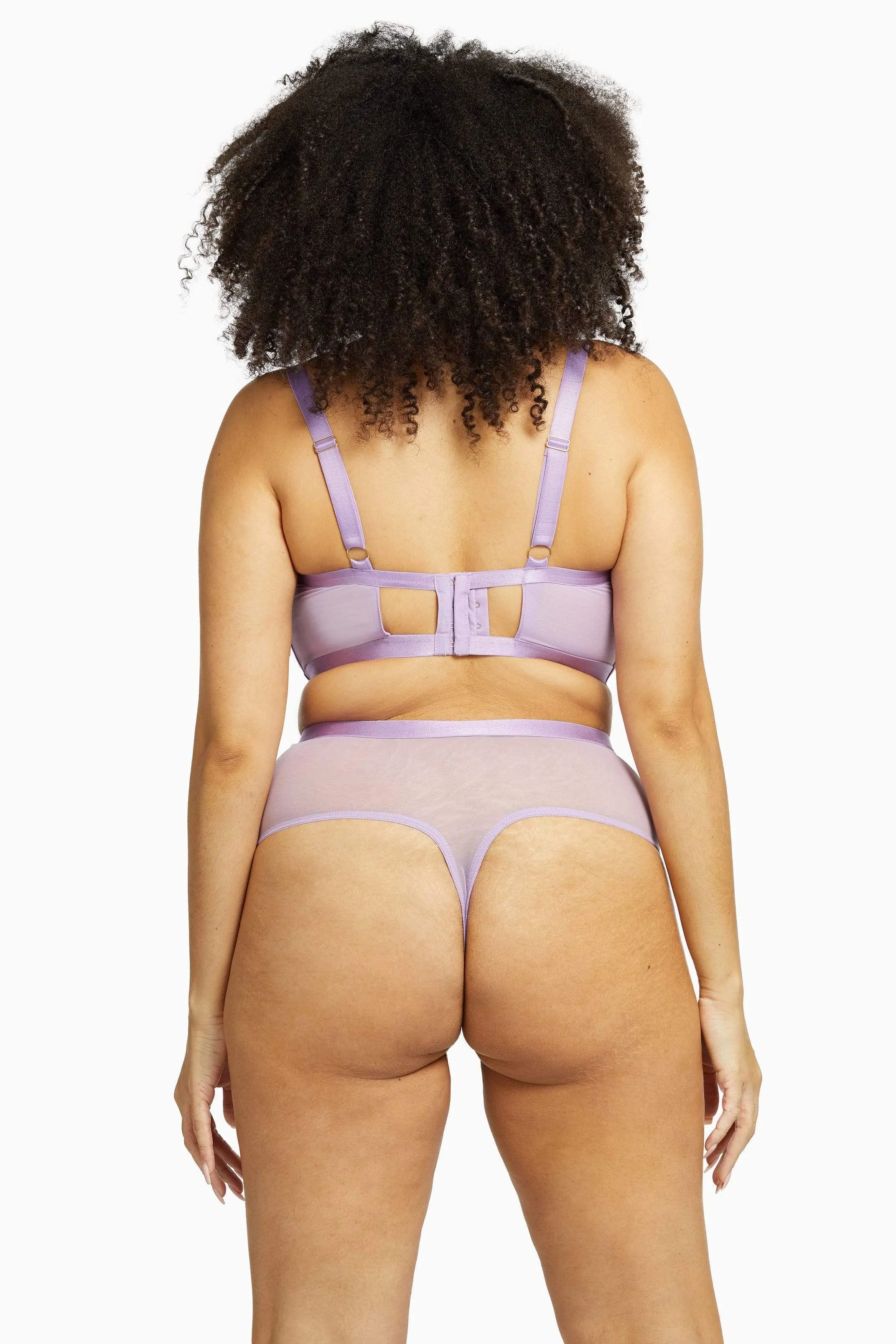 Fenella Lace and Net High Waist Brief
