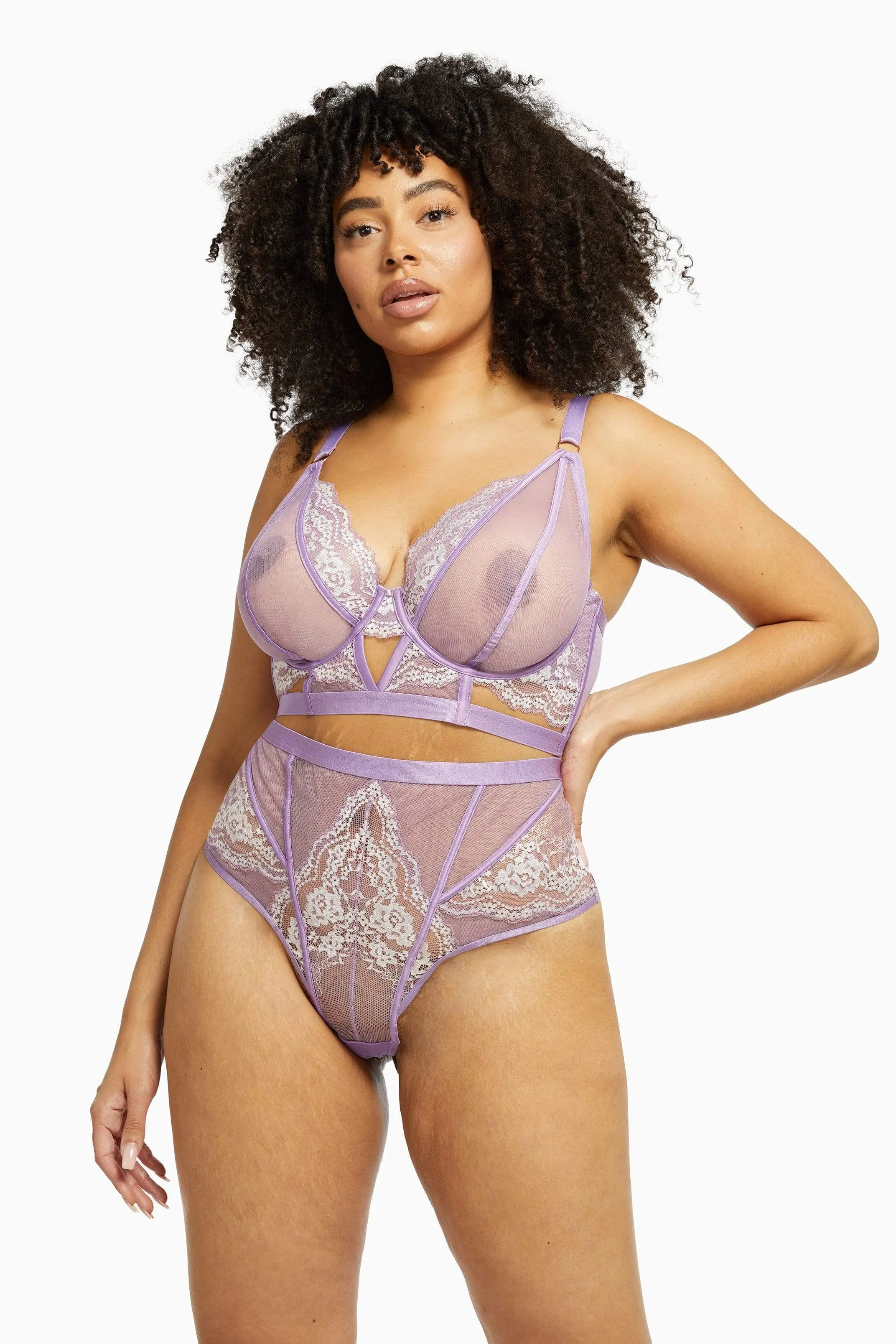 Fenella Lace and Net High Waist Brief