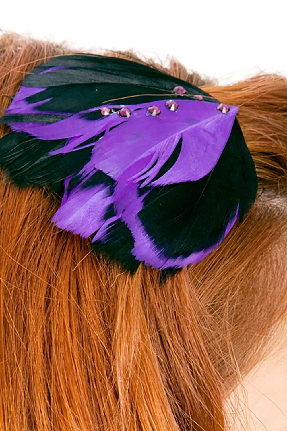 Wild Bird Hair Clip