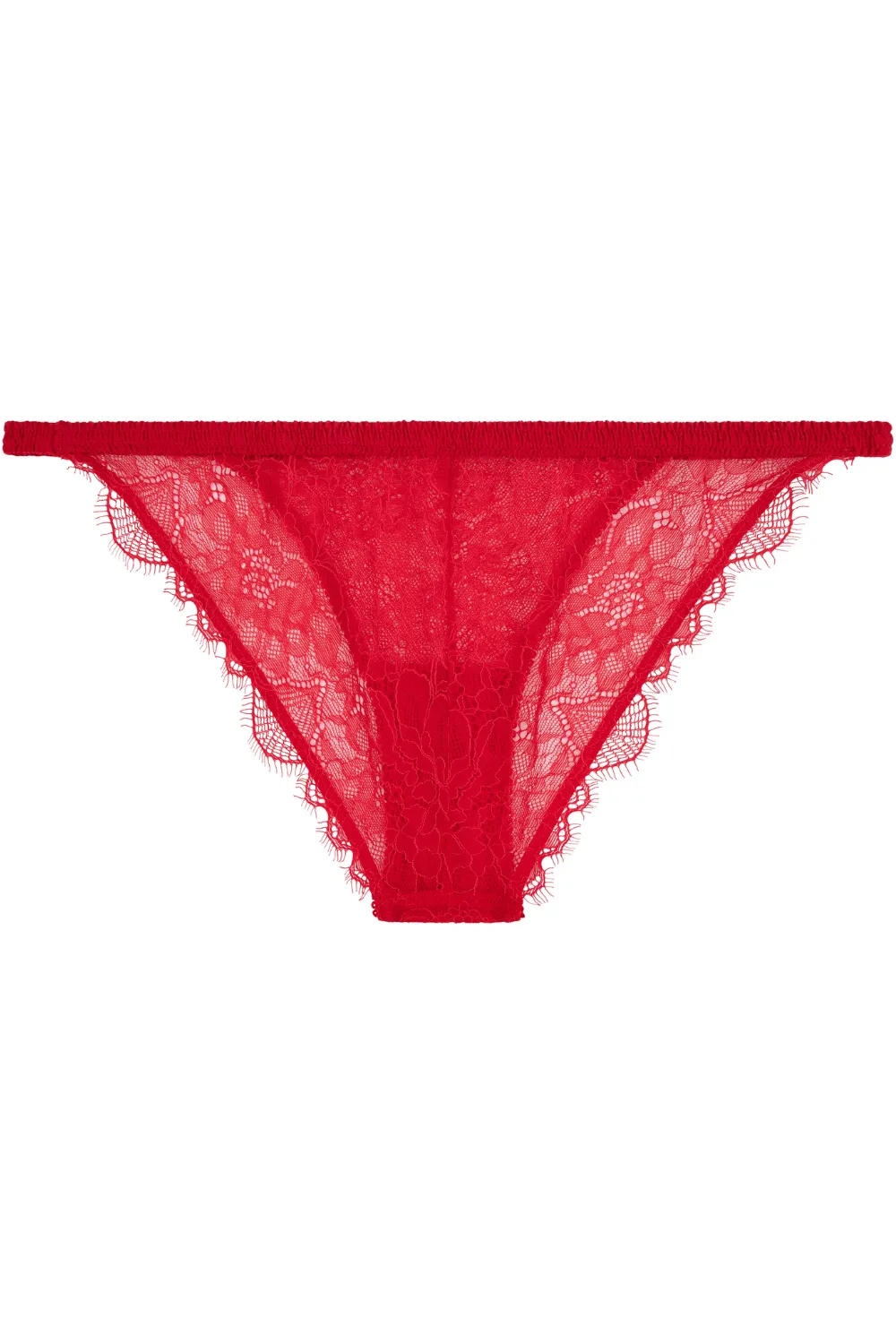 Wild Rose Brief Red